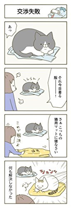 うちの猫がまた変なことしてる。 4