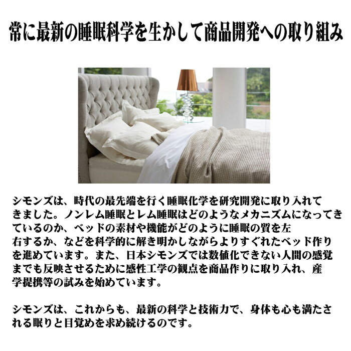 レギュラー 4