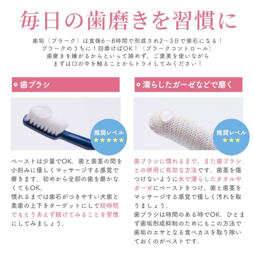 バイオペースト ルース 5
