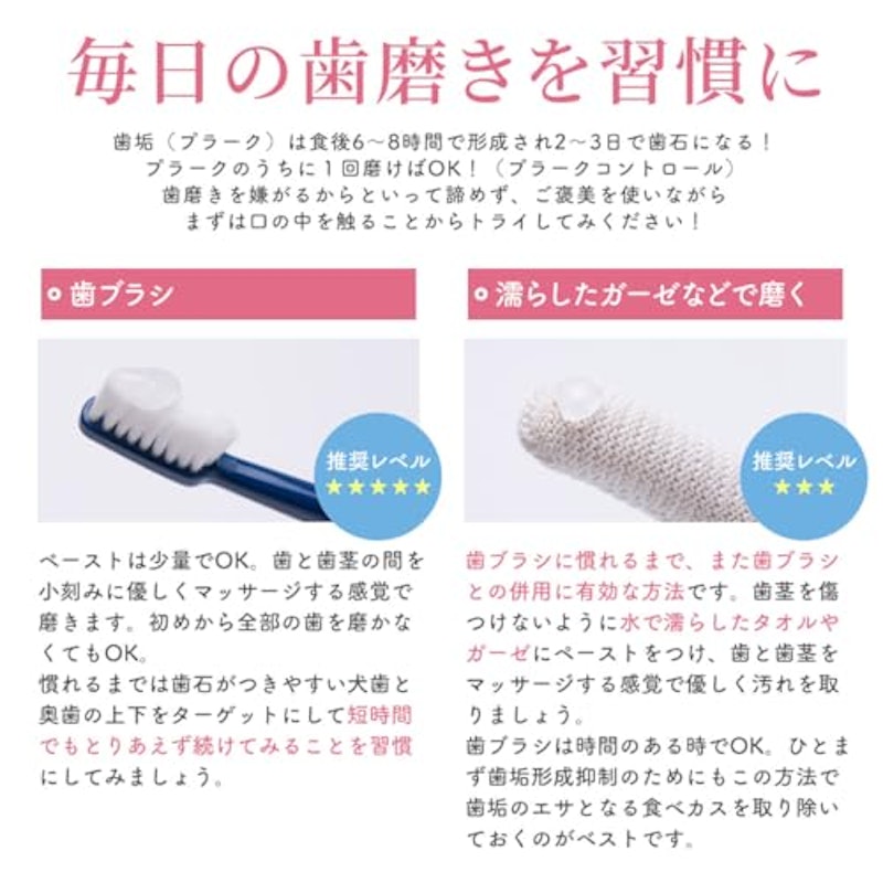バイオペースト ルース 5
