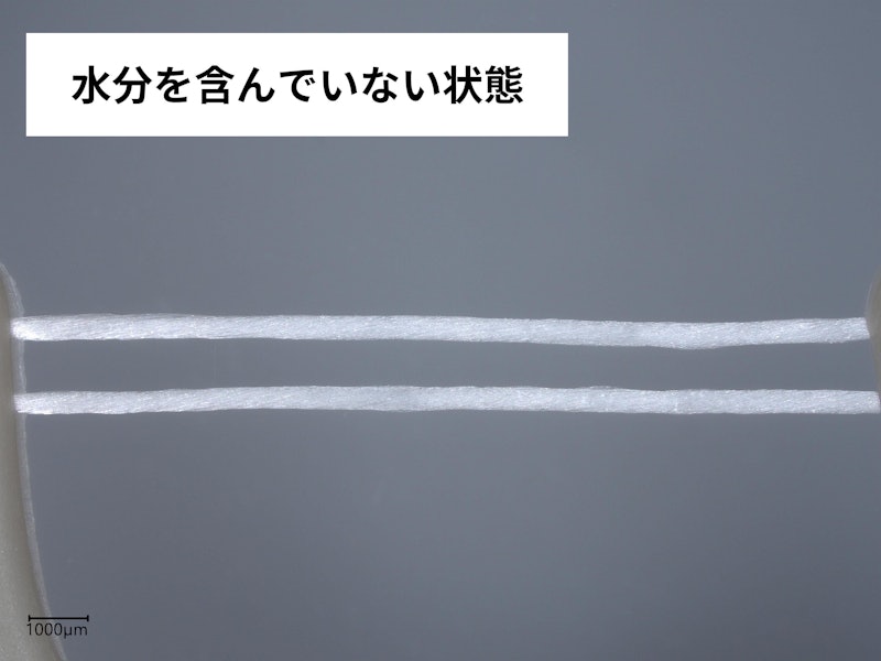 強化糸2連フロス 3