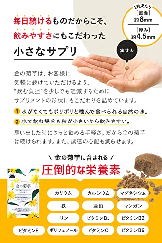 金の菊芋 5
