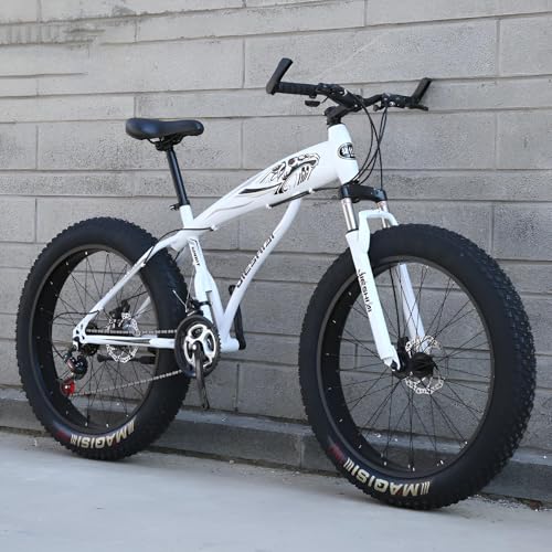 折りたたみ20インチファットタイヤ自転車 61HWu-6x03L._AC_UL210_SR210,