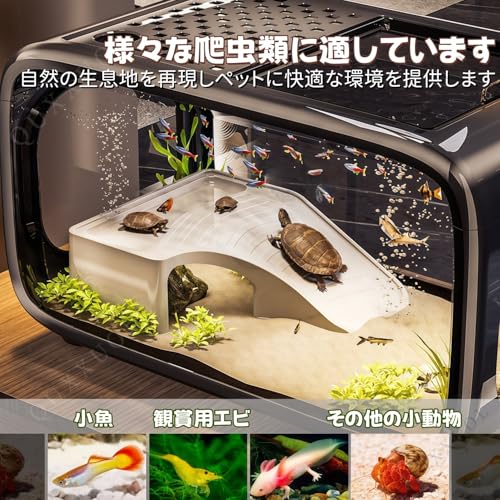 小型水槽セット 3