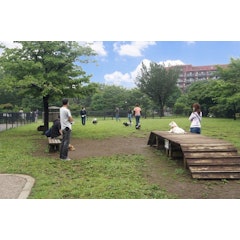 東京都内のドッグランおすすめ人気ランキング選 屋外 屋内 Mybest 東京都内のドッグランおすすめ人気ランキング選 屋外 屋内 Mybest
