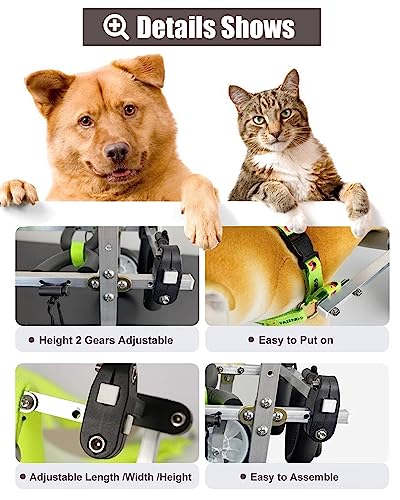 犬用車椅子 3