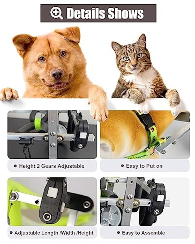犬用車椅子 3