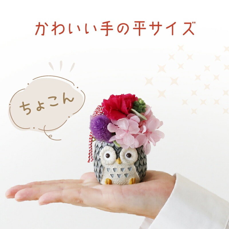 長寿ふくろうプリザ 2