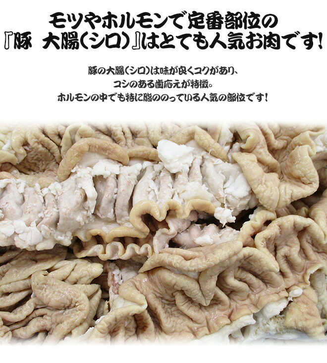  国産 豚大腸 4