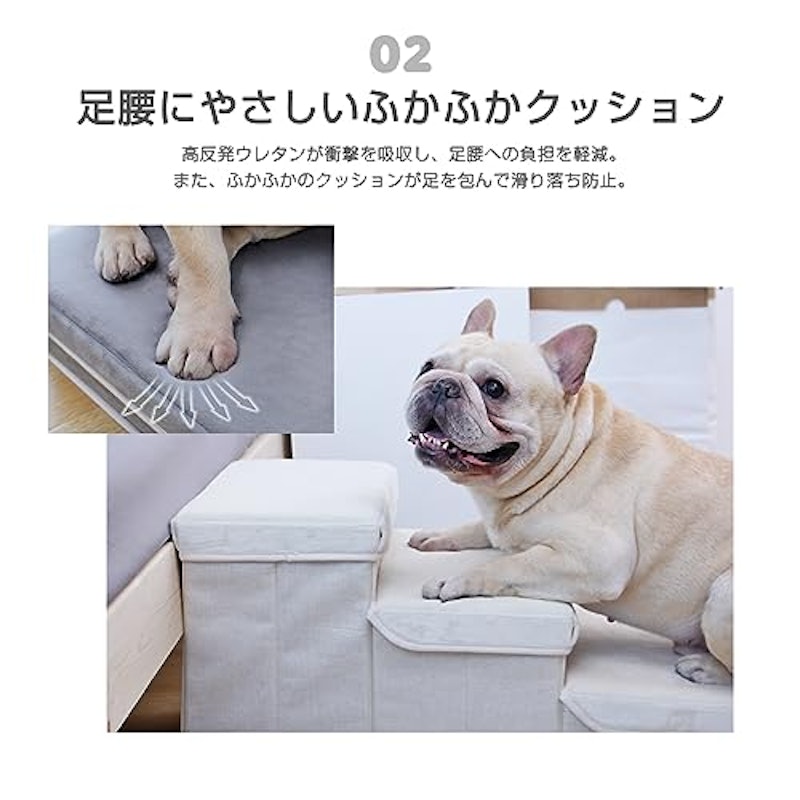 ドッグステップ 3