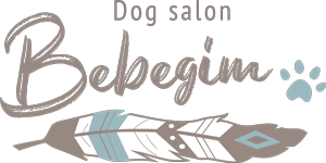 Bebegim 1