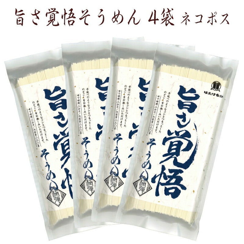そうめん 1