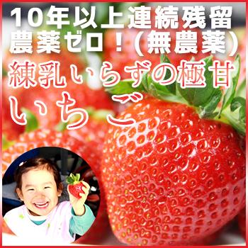 いちご 詰め合わせ 2