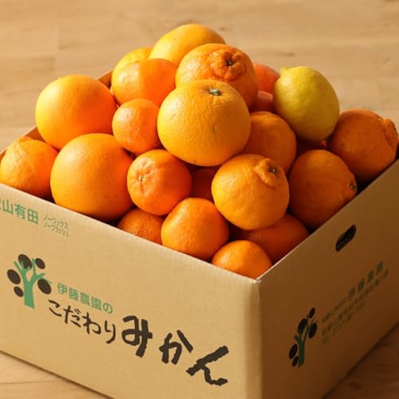 春柑橘 お楽しみ箱 訳あり 2