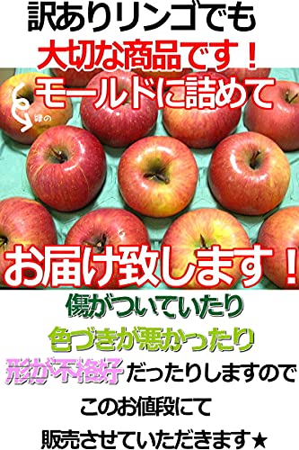 りんご ふじ 訳あり 6