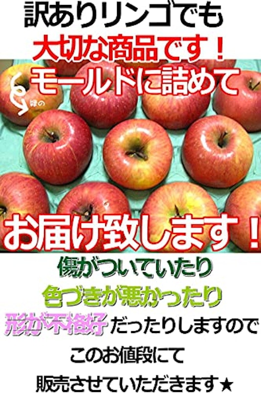 りんご ふじ 訳あり 6