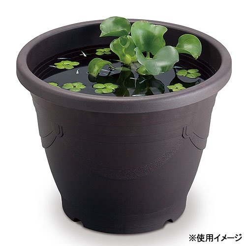 メダカの深鉢 黒茶 13号 3