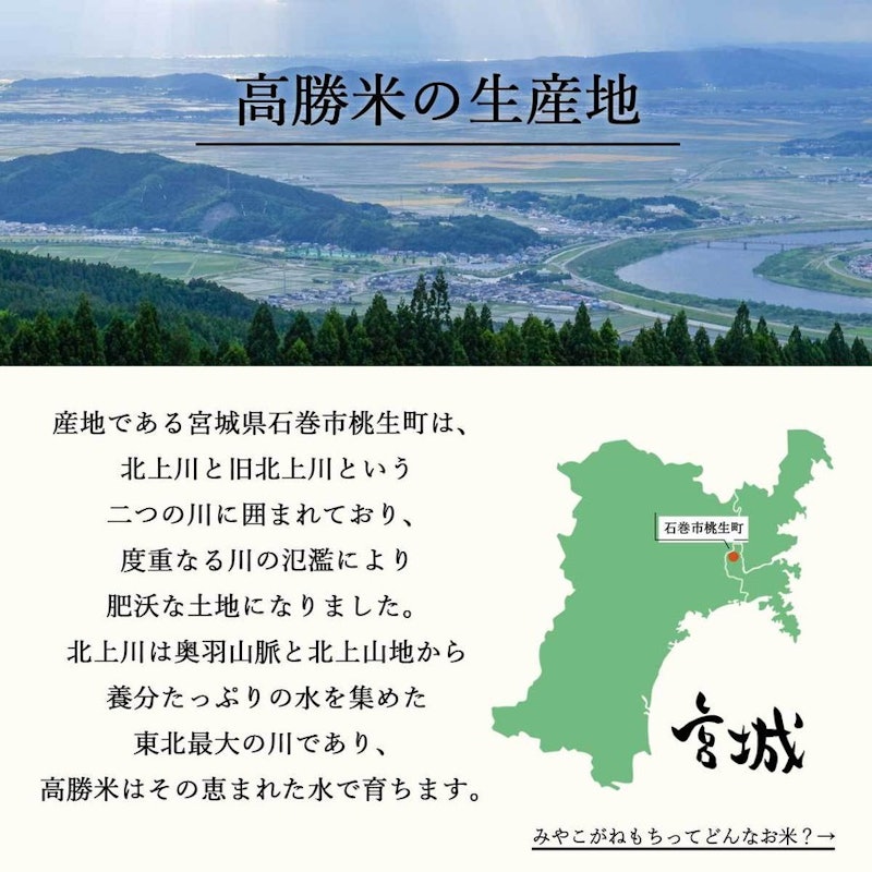 もち米 高勝のみやこがねもち 4
