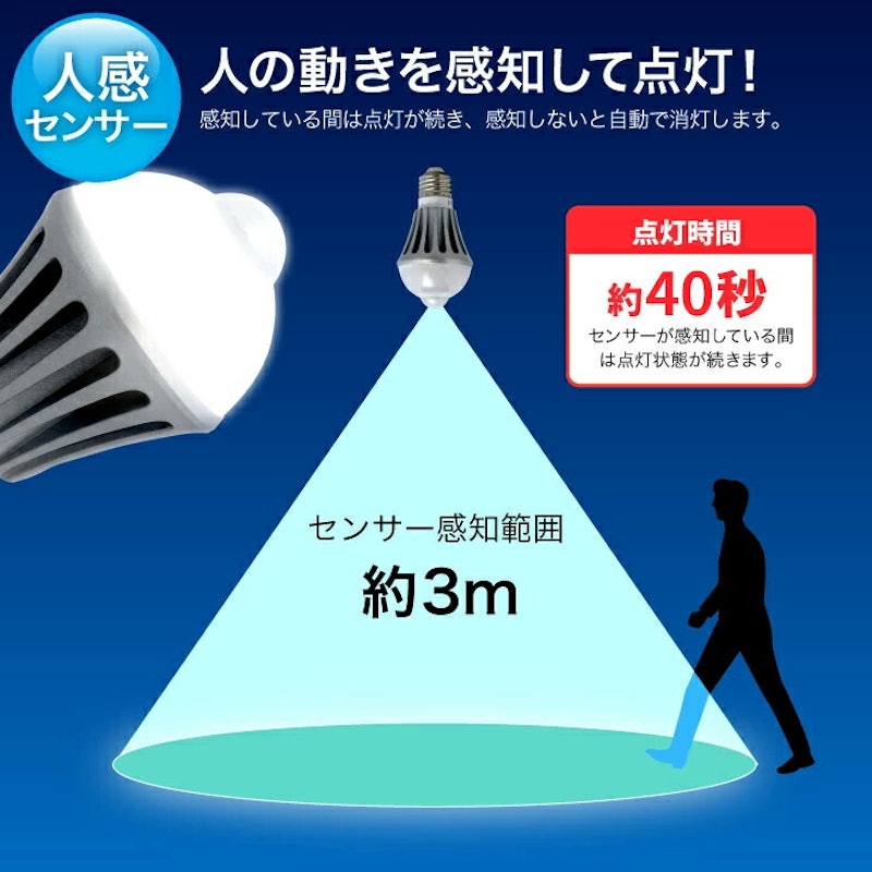 LED電球 2