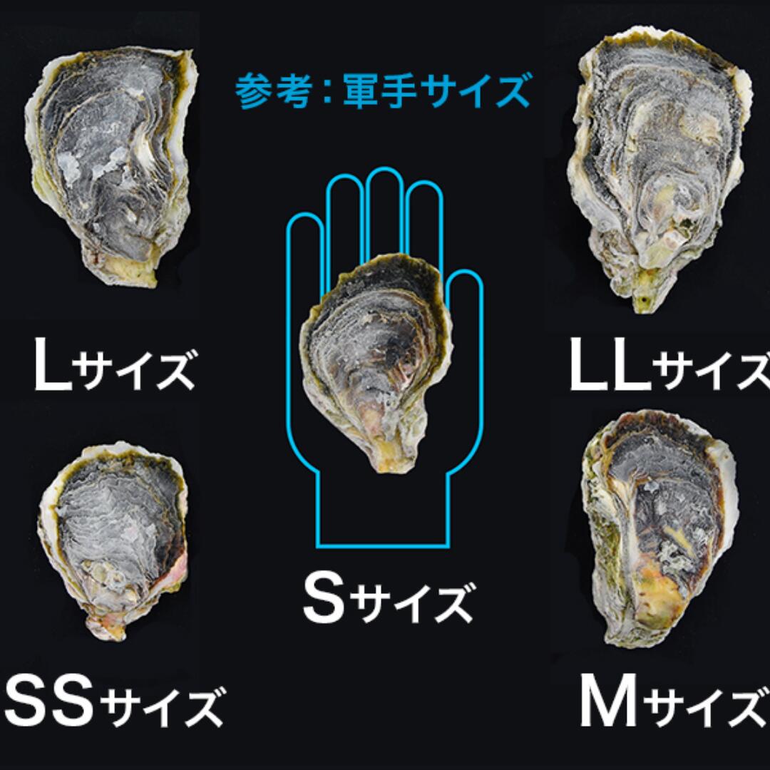 海士のいわがき 殻付きLLサイズ  3