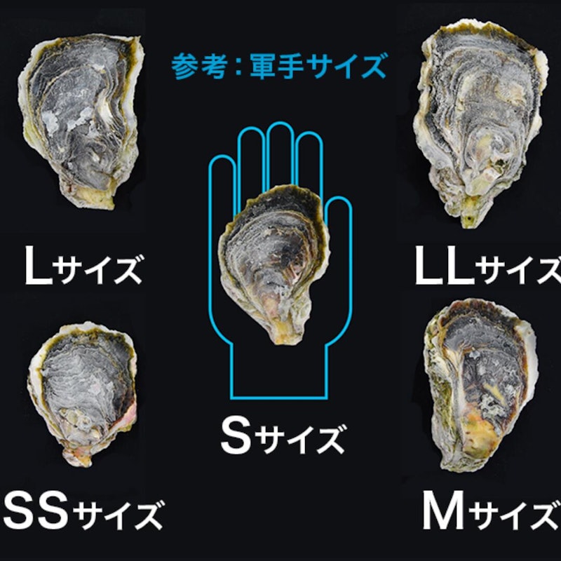 海士のいわがき 殻付きLLサイズ 3
