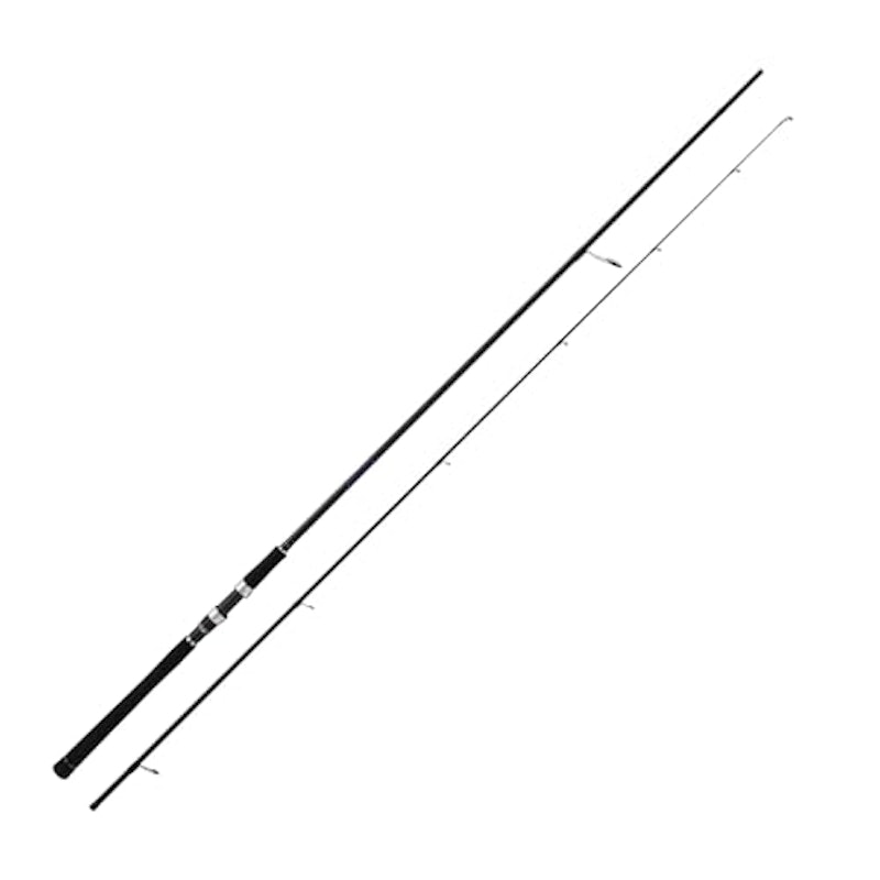 シーバスロッド 1