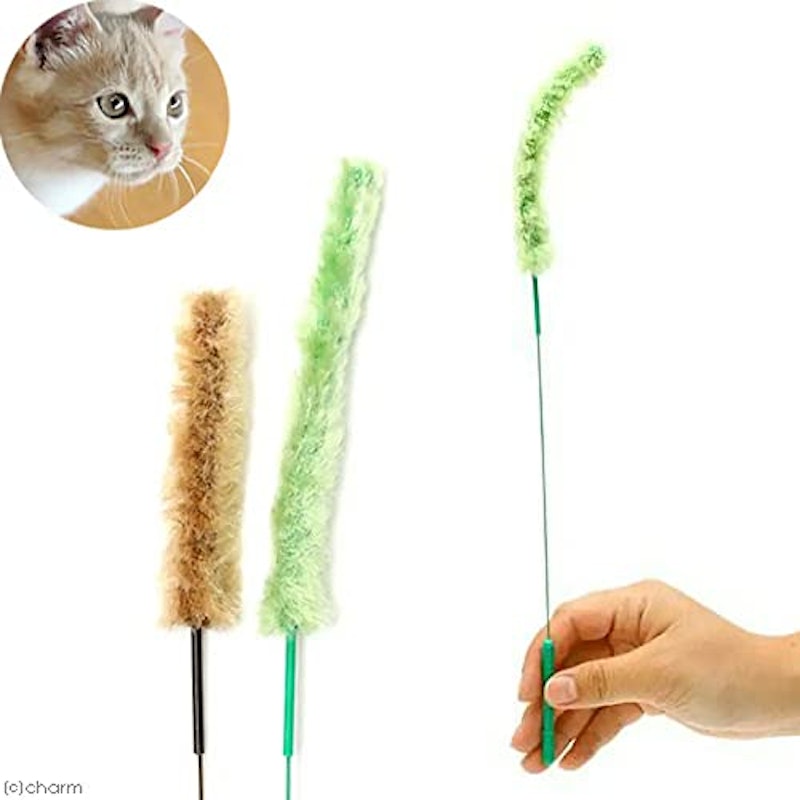 猫のお遊び草 2