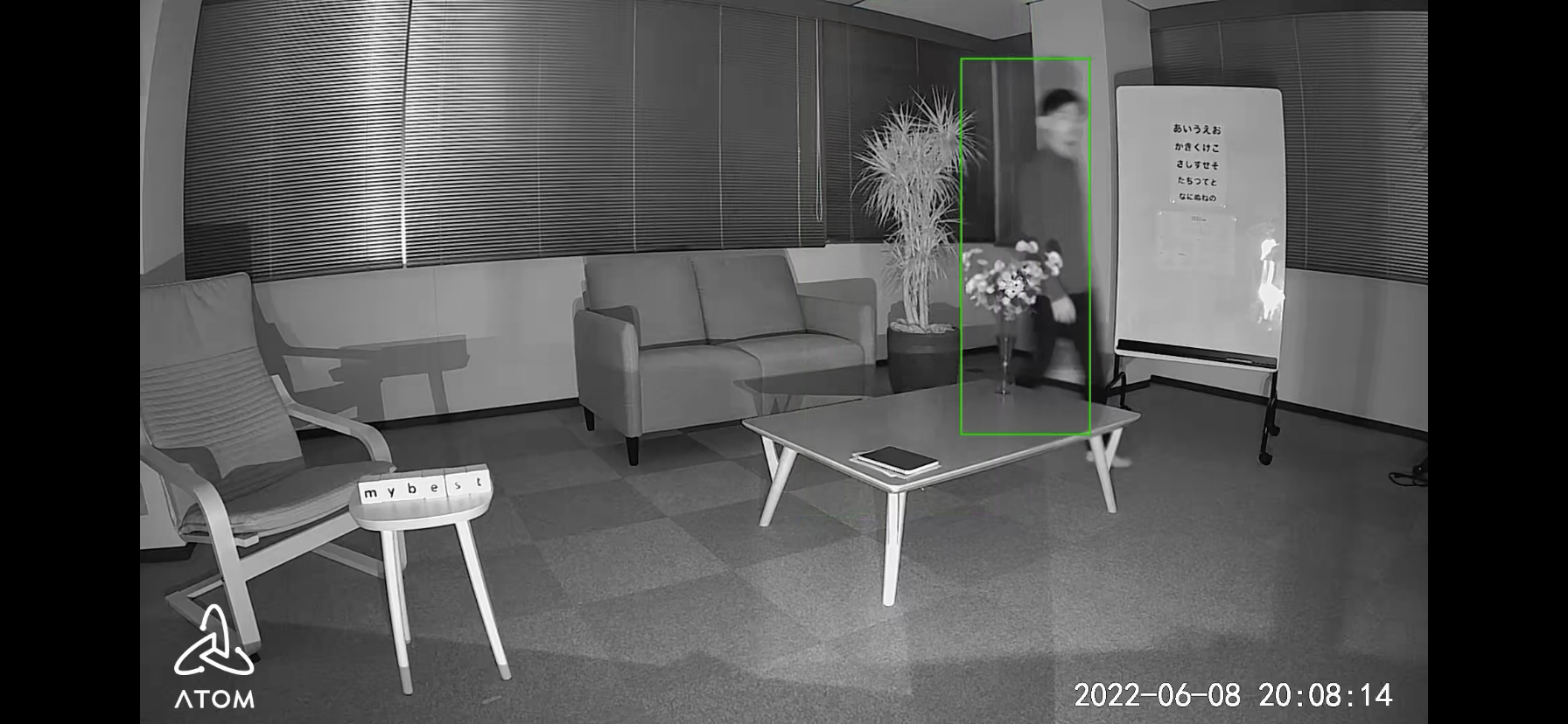 ATOM Cam Swing 3