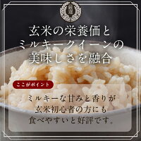 ミルキークイーン パックごはん 玄米  2