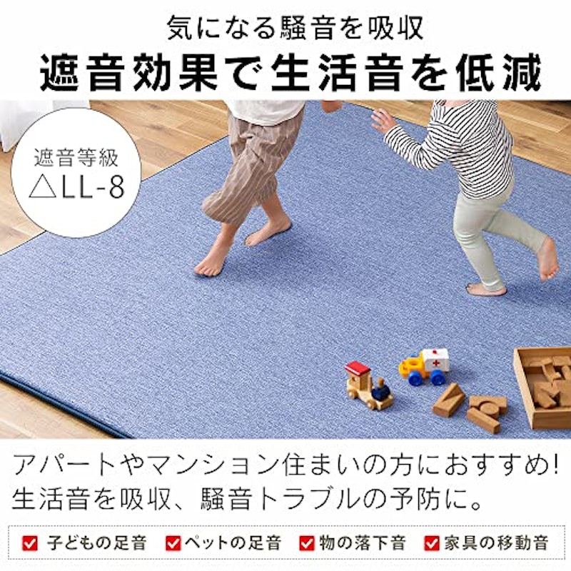 ラ・クッションラグ リバーシブルタイプ 5
