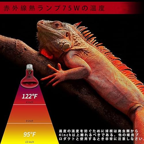 ヒートグロー 4