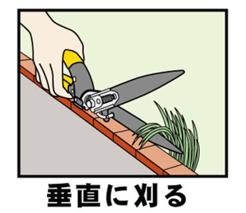 回転式芝生鋏 1