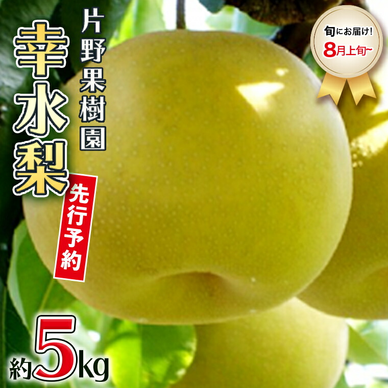 片野果樹園 幸水梨 1