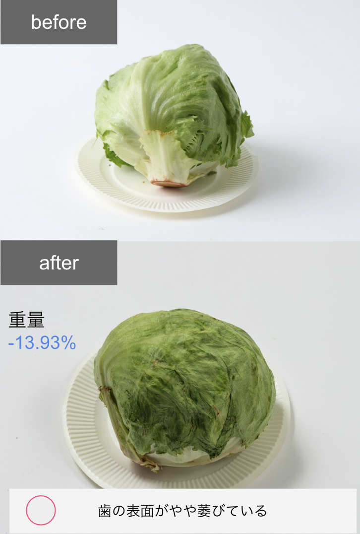 冷凍冷蔵庫 14