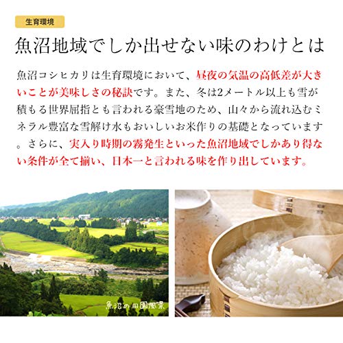 南魚沼産コシヒカリ 3