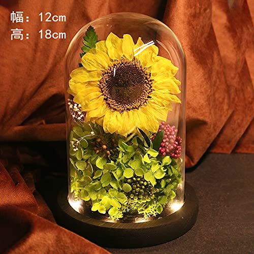 ひまわりのプリザーブドフラワーのおすすめ人気ランキング【2026年2月