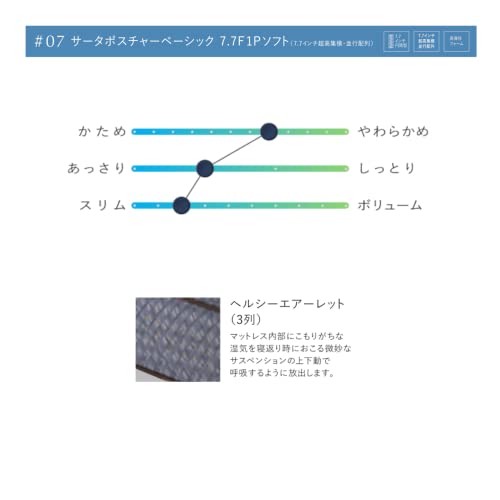 ポスチャーベーシック 7.7 F1Pソフト 2