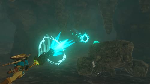 ゼルダの伝説 ティアーズ オブ ザ キングダム Collector's Edition  3