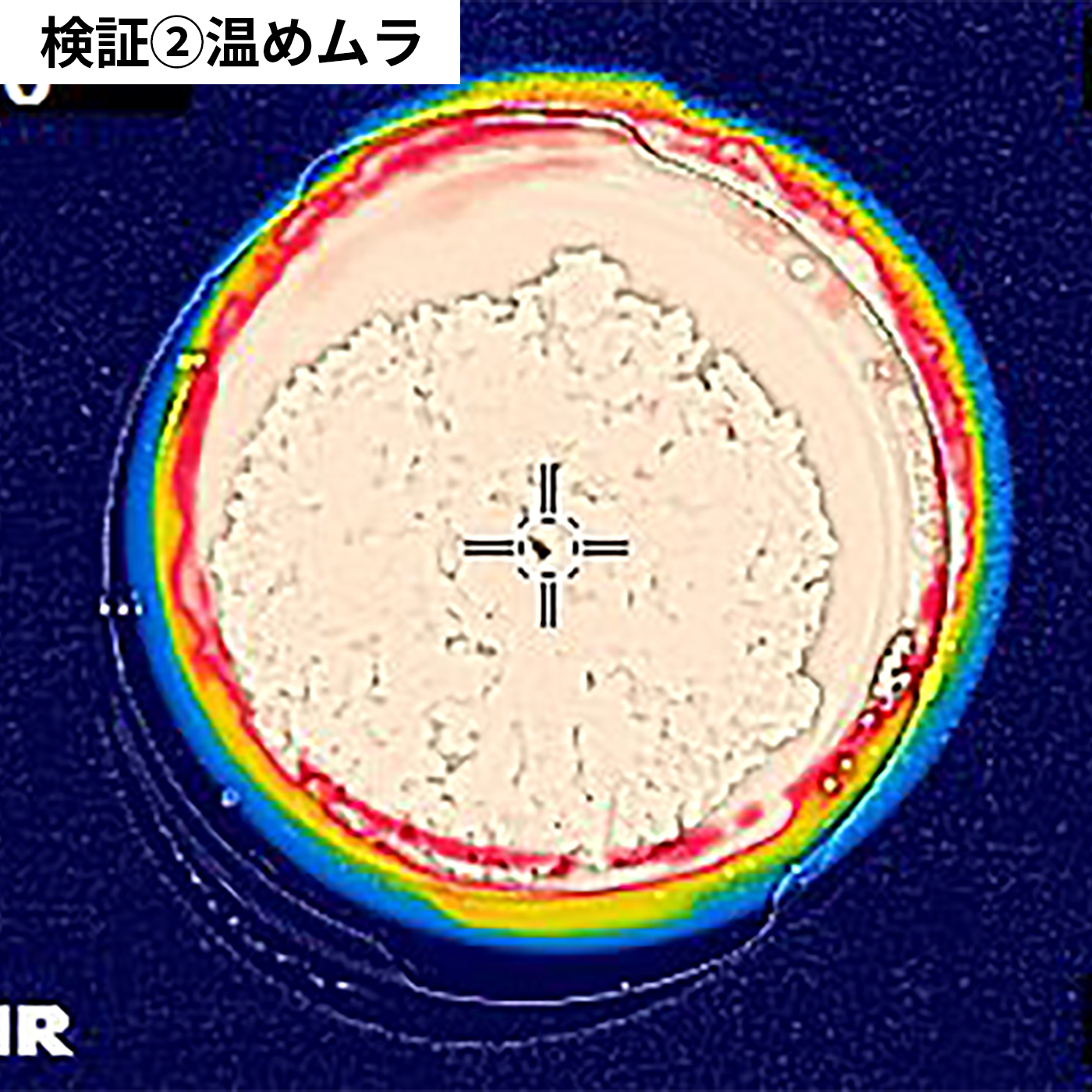 絶品ごはん保存容器 7