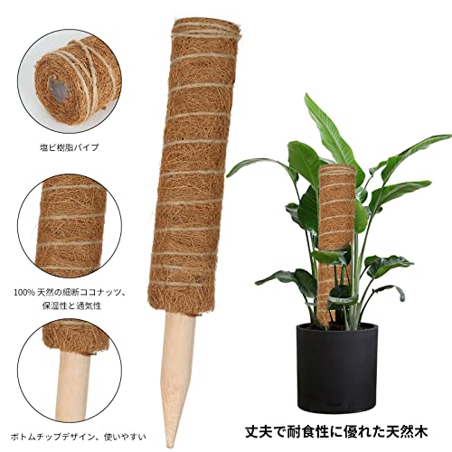 植物支柱 3