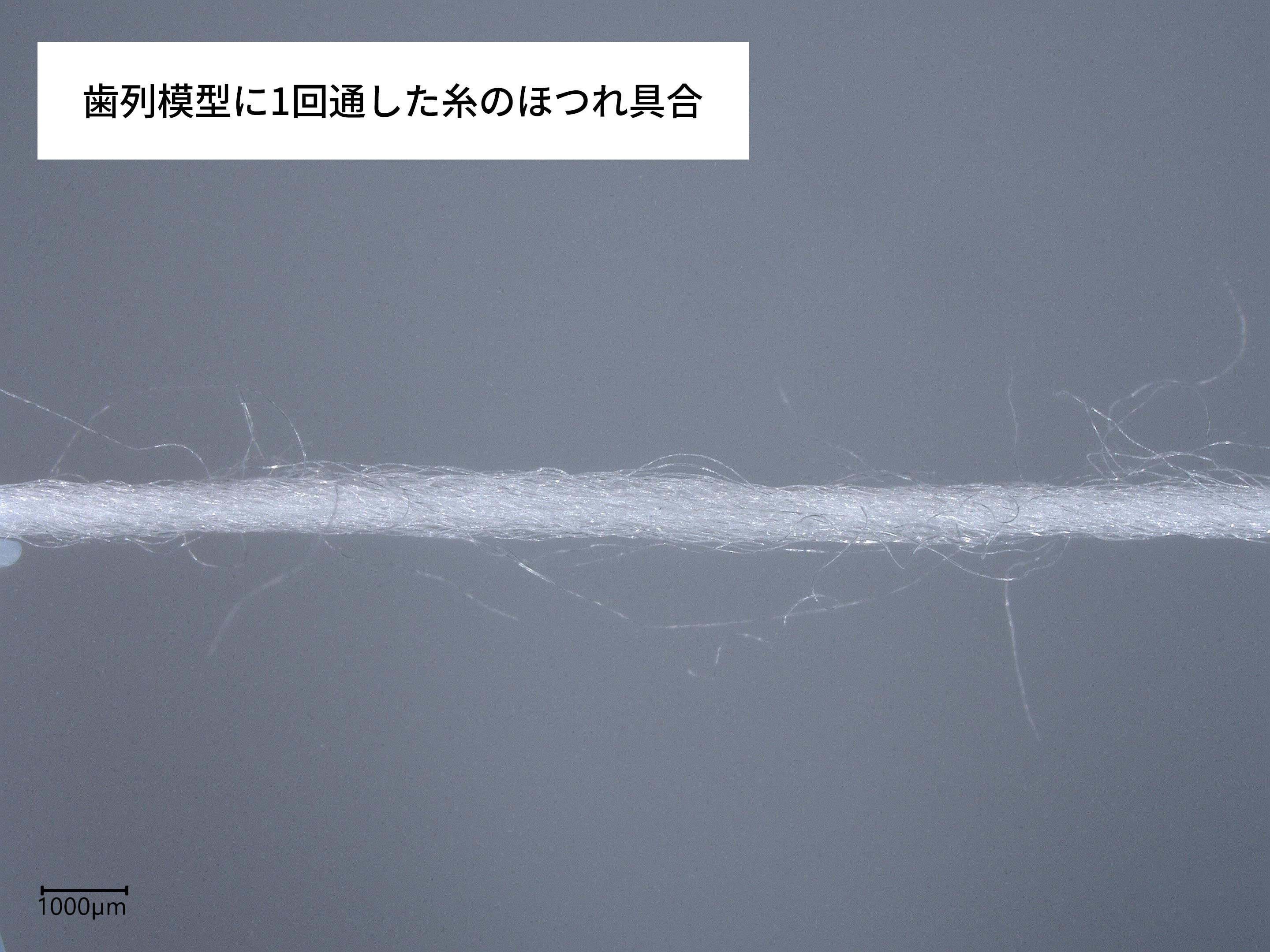 まいにちフロス 6
