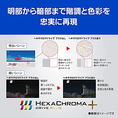 VIERA 4K有機ELテレビ JZ2000 6