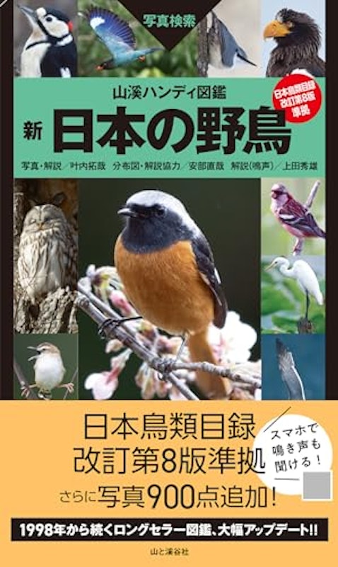 新 日本の野鳥 2