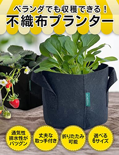 家庭菜園用プランターのおすすめ人気ランキング26選【2024年】 | mybest