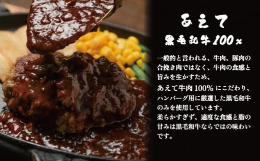 黒毛和牛100％ 極上ハンバーグ（特製デミグラスソース） 2