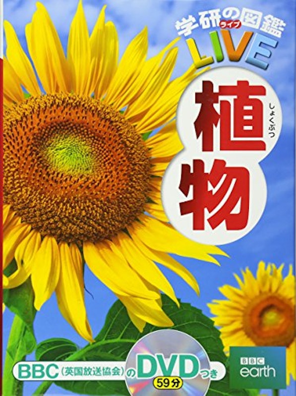 植物 1