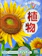 学研プラス 植物 1