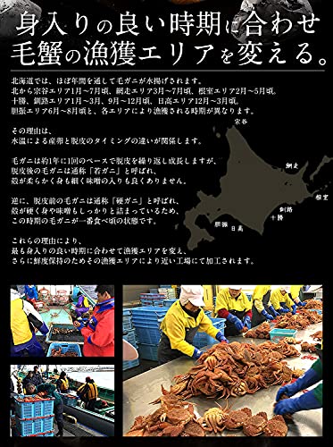 北海道産 毛ガニ 5