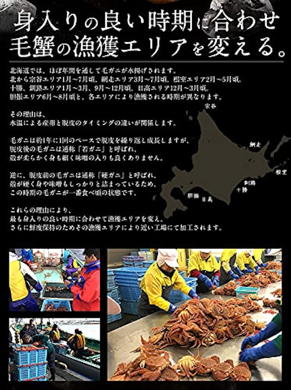 北海道産 毛ガニ 5