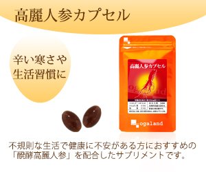 高麗人参カプセル 3